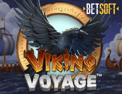 Viking Voyage